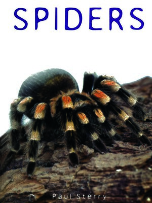 cover image of Spiders